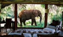 Отель «Makanyane Safari Lodge»